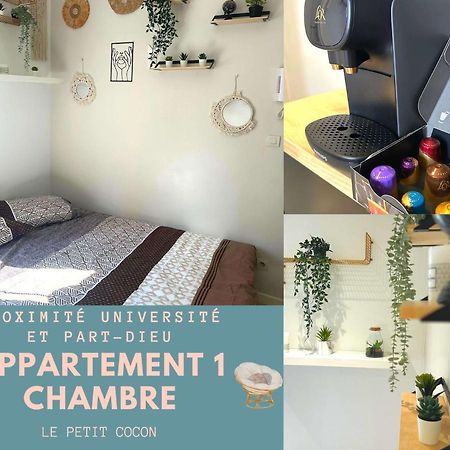 L'Oasis Cosy Daire Villeurbanne Dış mekan fotoğraf
