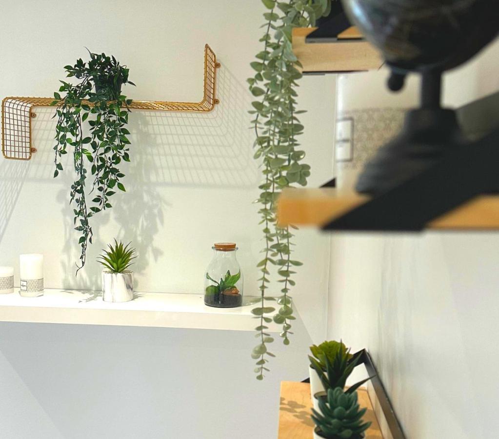 L'Oasis Cosy Daire Villeurbanne Dış mekan fotoğraf