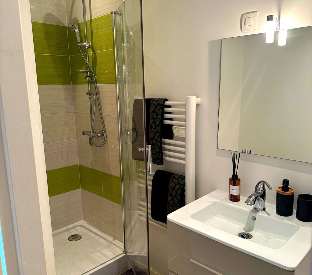 L'Oasis Cosy Daire Villeurbanne Dış mekan fotoğraf
