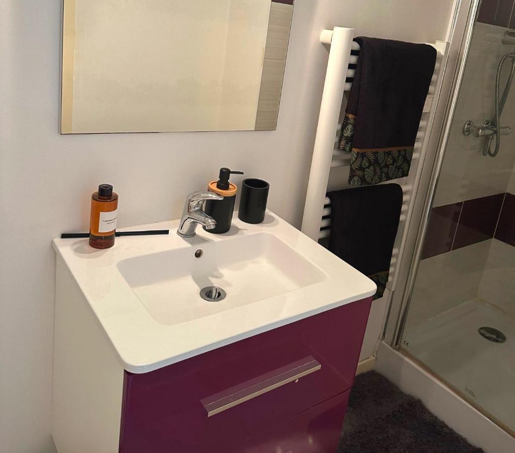 L'Oasis Cosy Daire Villeurbanne Dış mekan fotoğraf