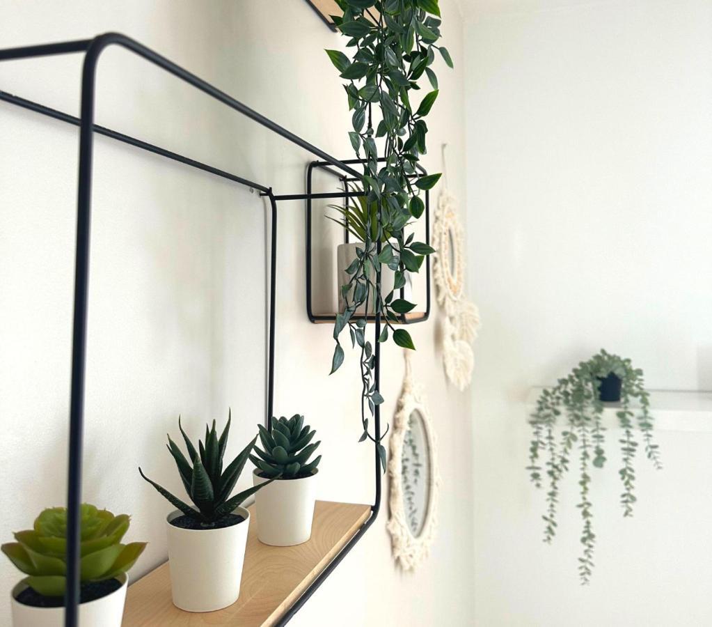 L'Oasis Cosy Daire Villeurbanne Dış mekan fotoğraf