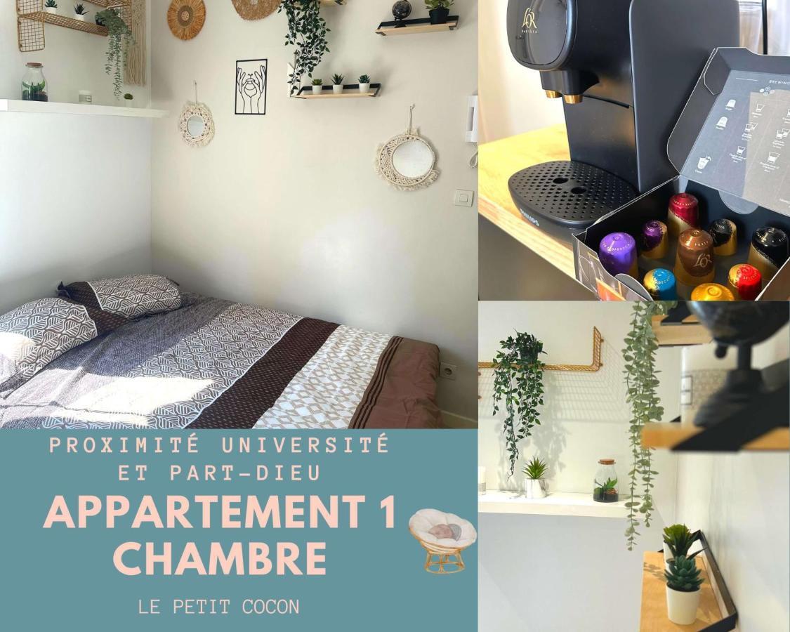 L'Oasis Cosy Daire Villeurbanne Dış mekan fotoğraf