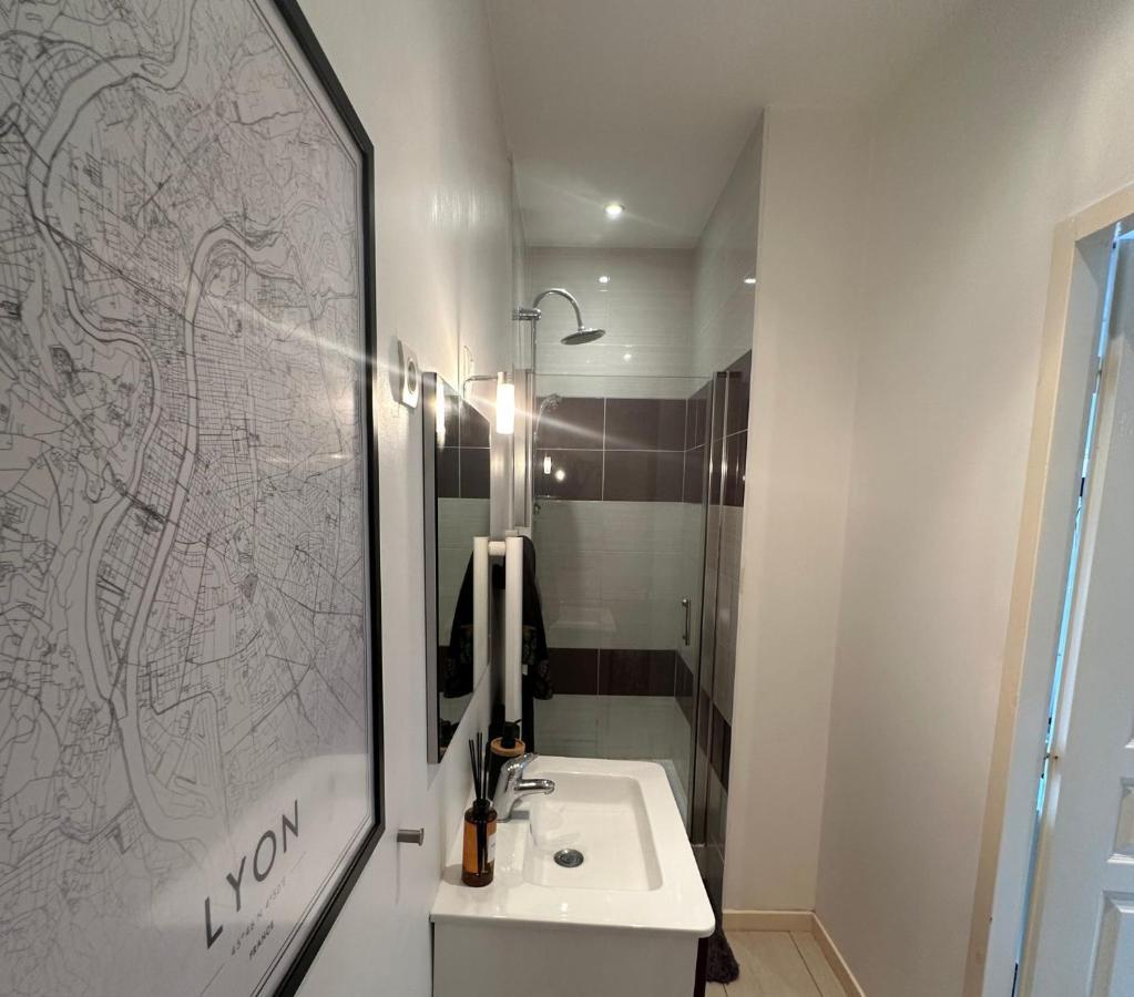 L'Oasis Cosy Daire Villeurbanne Dış mekan fotoğraf