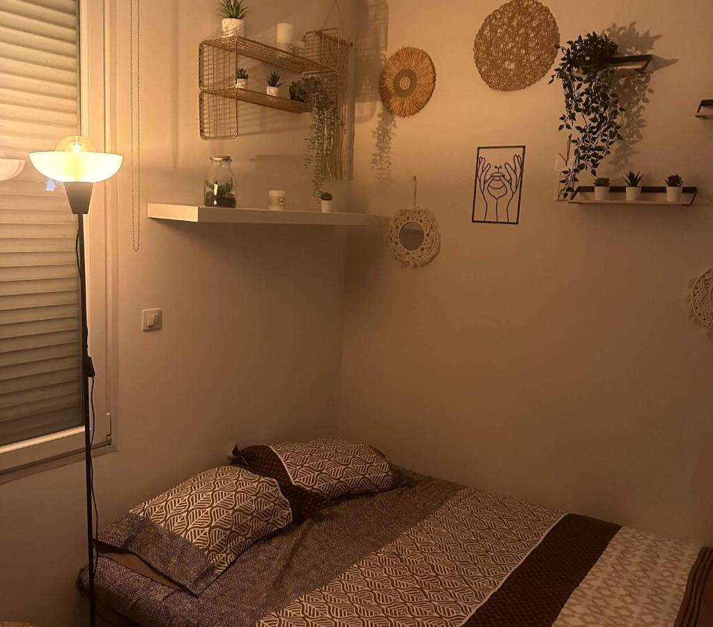 L'Oasis Cosy Daire Villeurbanne Dış mekan fotoğraf